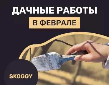 Дачные работы в феврале